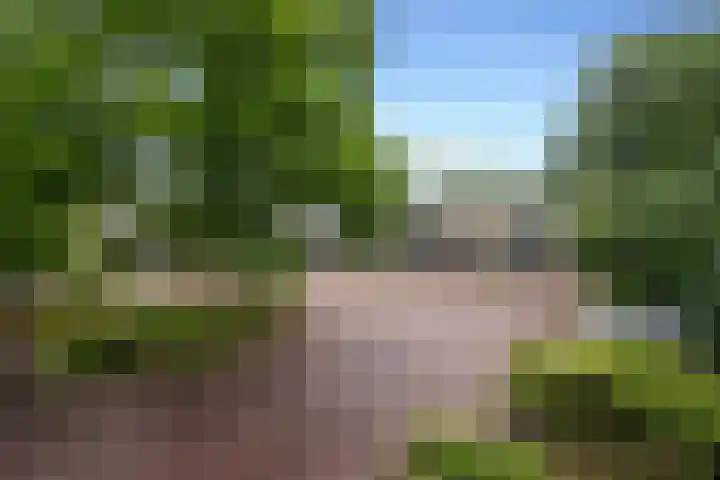 Galicië 22 Leusden thumbnail 36