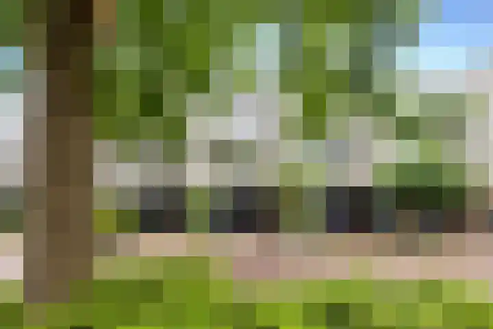 Galicië 22 Leusden thumbnail 41
