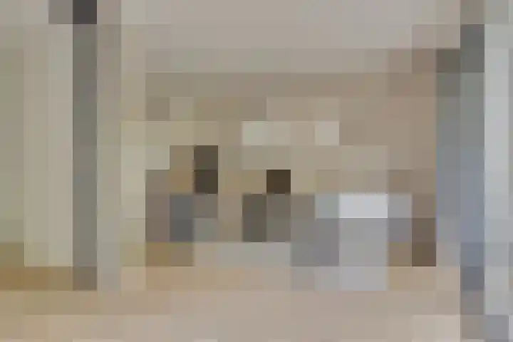 Galicië 22 Leusden thumbnail 7