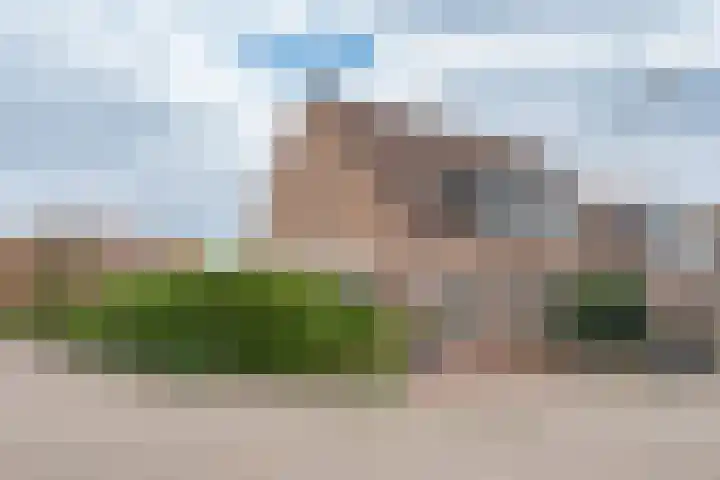 Galjoen 1 dans De Rijp