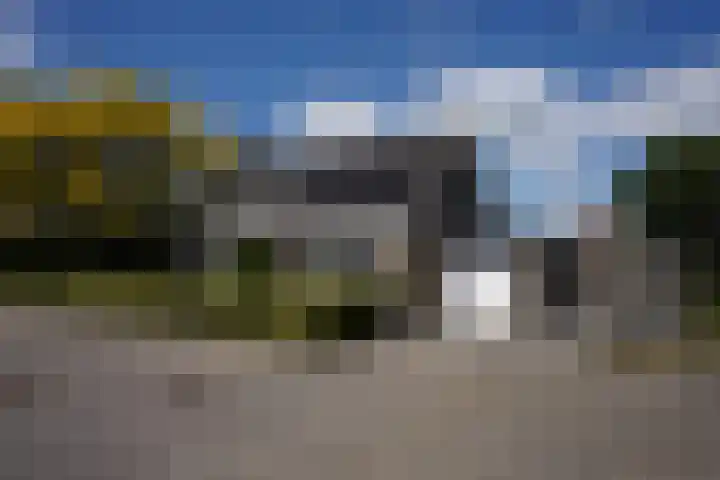 Galjoen 22 dans Breskens
