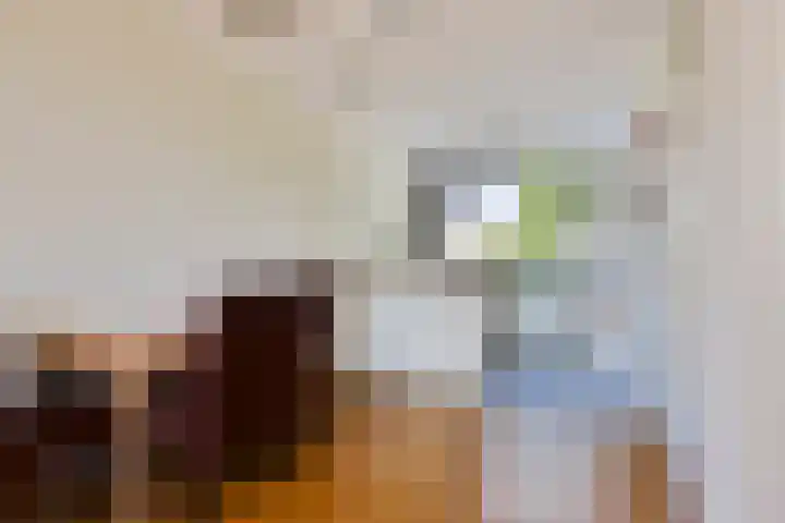 Galjoen 30 Brielle thumbnail 15