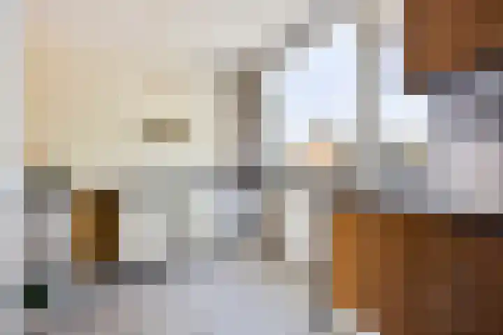 Galjoen 30 Brielle thumbnail 18