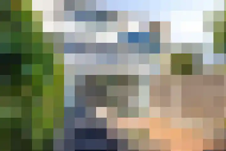 Galjoen 30 Brielle thumbnail 4