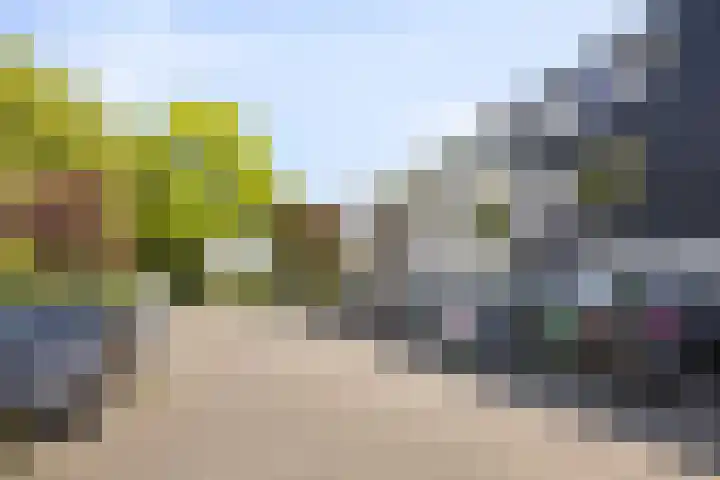 Galjoen 30 Brielle thumbnail 8