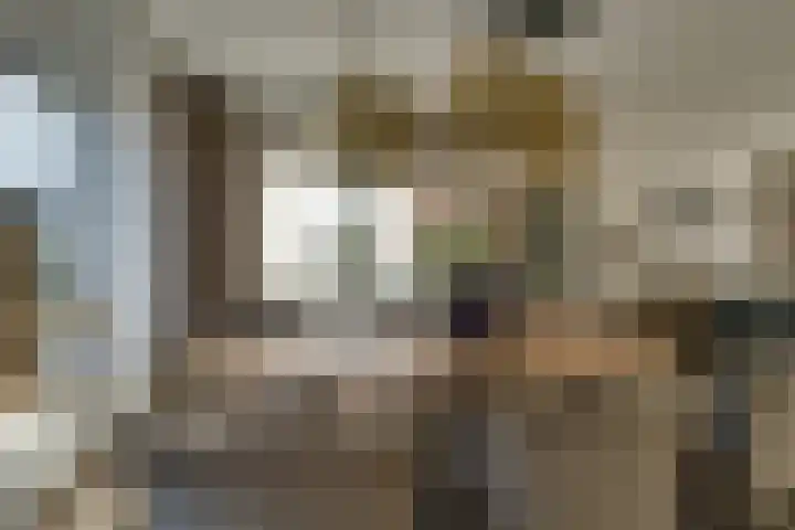 Galjoen 34 Volendam thumbnail 13