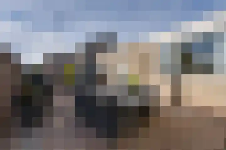 Galjoen 34 Volendam thumbnail 28