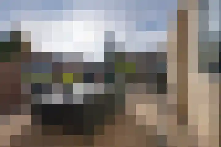 Galjoen 34 Volendam thumbnail 5