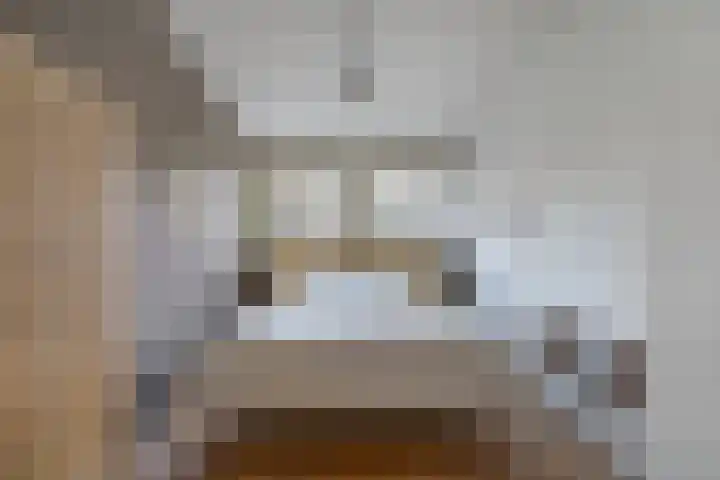 Galop 1 Nootdorp thumbnail 11