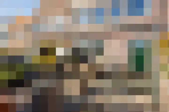 Galop 1 Nootdorp thumbnail 11