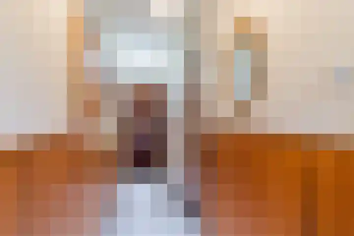 Galop 1 Nootdorp thumbnail 13