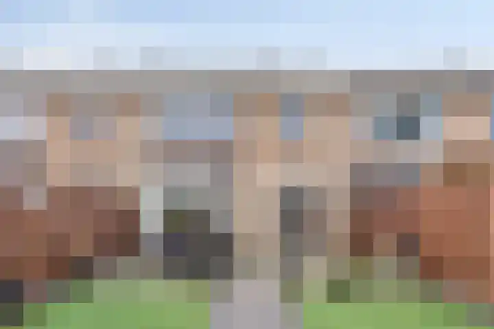 Galop 1 Nootdorp thumbnail 14