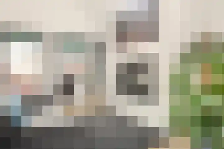 Galop 1 Nootdorp thumbnail 14