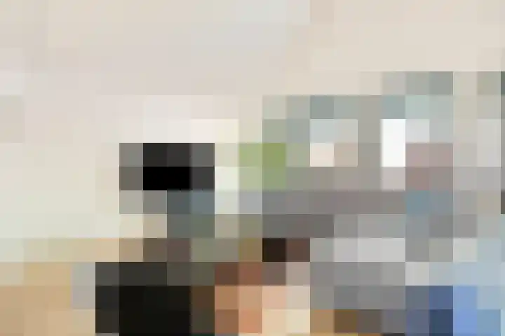 Galop 1 Nootdorp thumbnail 15