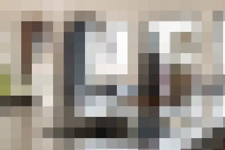 Galop 1 Nootdorp thumbnail 21