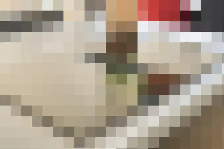 Galop 1 Nootdorp thumbnail 22