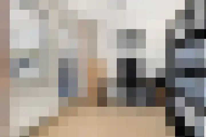Galop 1 Nootdorp thumbnail 31