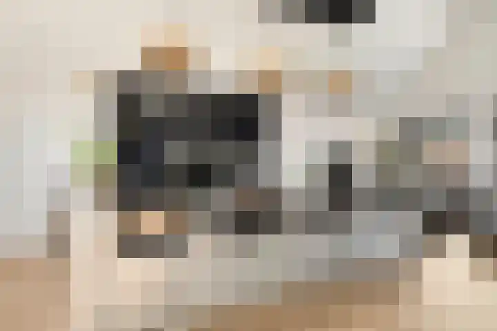 Galop 1 Nootdorp thumbnail 4