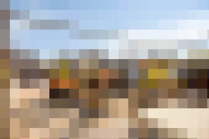 Galop 1 Nootdorp thumbnail 5