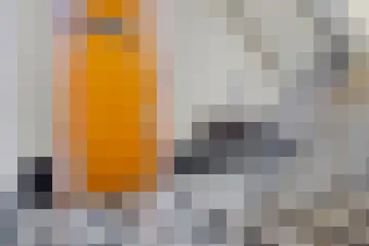 Galop 1 Nootdorp thumbnail 9