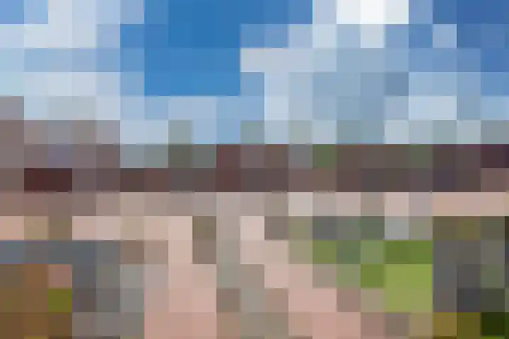 Galop 7 Nootdorp thumbnail 21