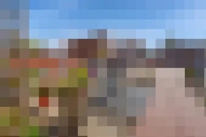 Galop 7 Nootdorp thumbnail 22