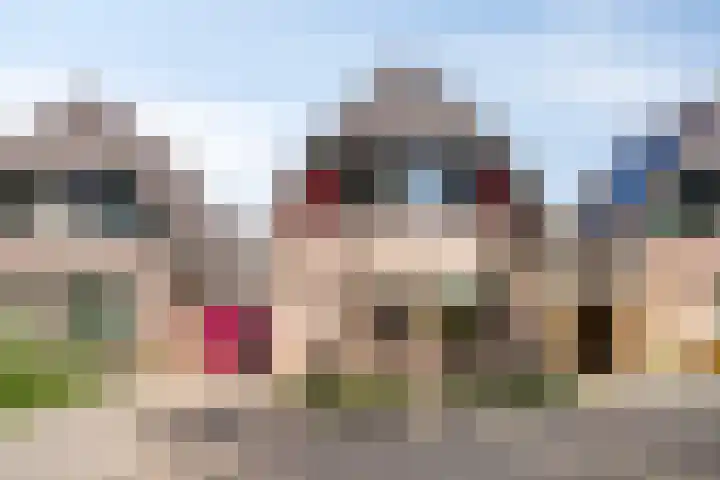 Gamander 24 in Dronten