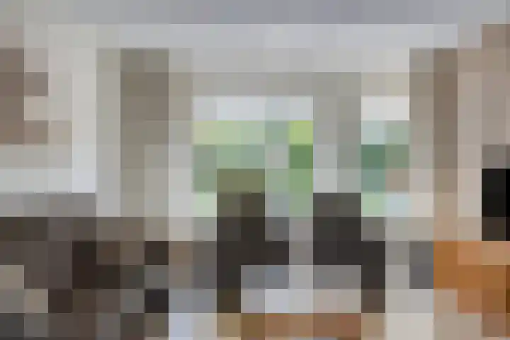 Gamander 24 Dronten thumbnail 10