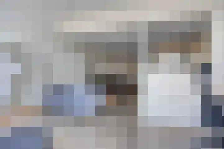 Gamander 24 Dronten thumbnail 16