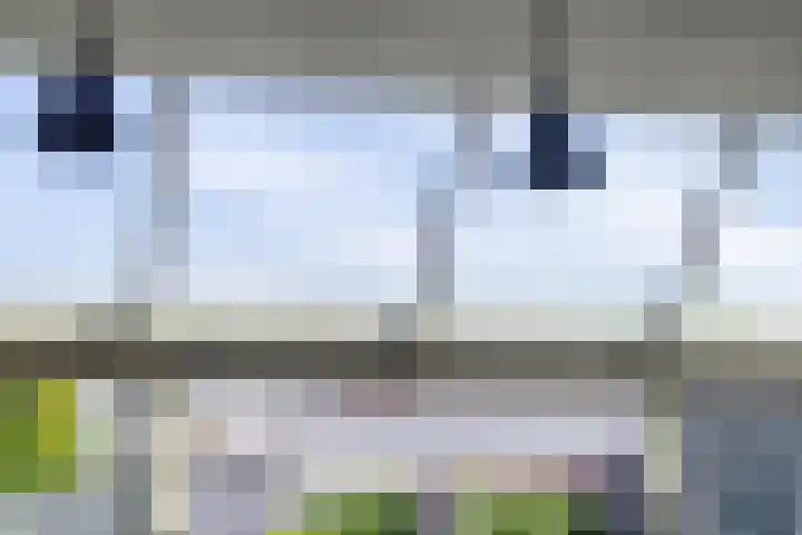 Gamander 24 Dronten thumbnail 20