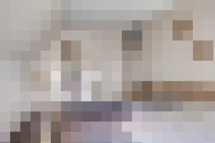 Gamander 24 Dronten thumbnail 25