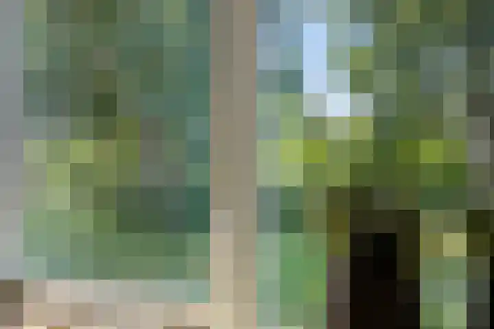 Gamander 24 Dronten thumbnail 26