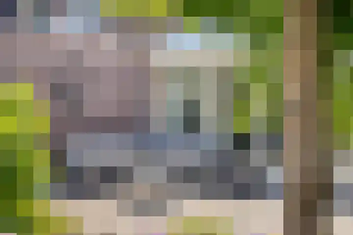 Gamander 24 Dronten thumbnail 32