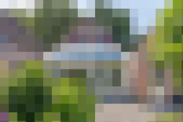 Gamander 24 Dronten thumbnail 33