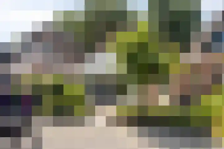 Gamander 24 Dronten thumbnail 35