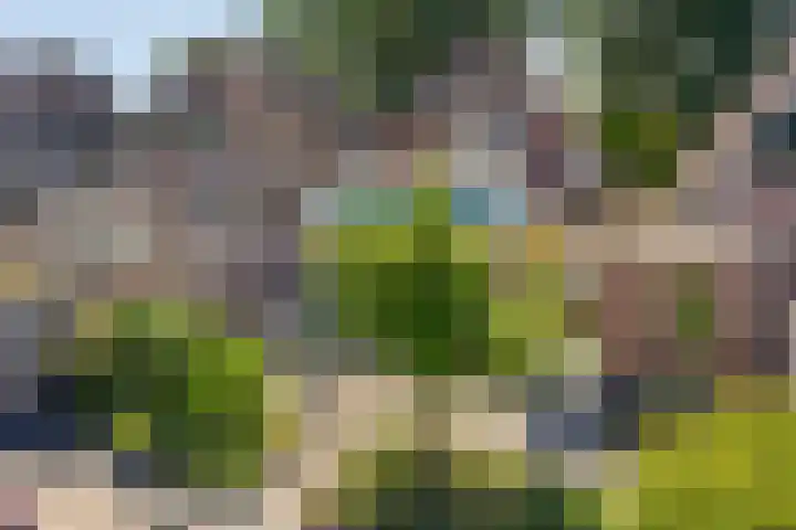 Gamander 24 Dronten thumbnail 36