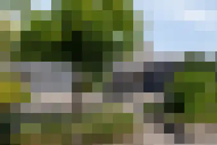 Gamander 24 Dronten thumbnail 38