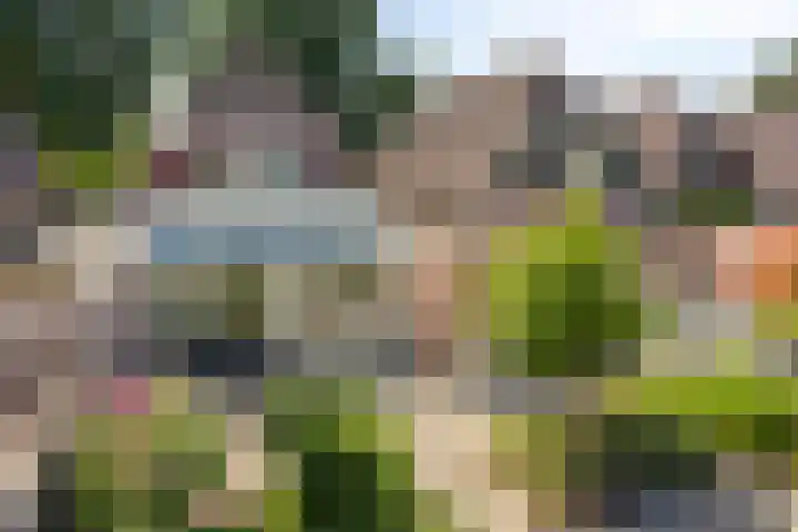 Gamander 24 Dronten thumbnail 4