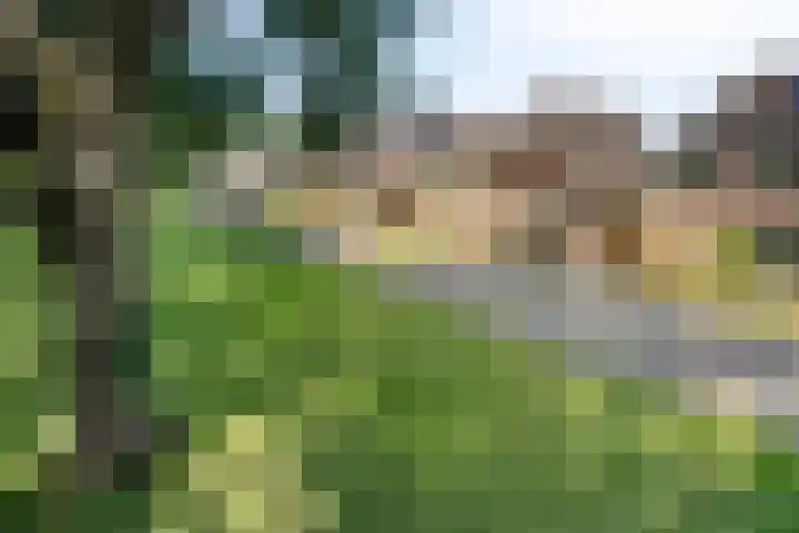 Gamander 24 Dronten thumbnail 41
