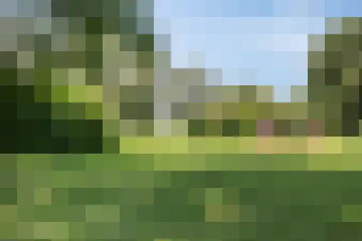 Gamander 24 Dronten thumbnail 42