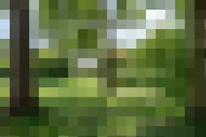 Gamander 24 Dronten thumbnail 43