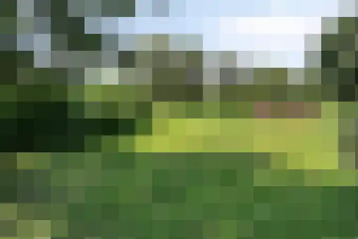 Gamander 24 Dronten thumbnail 44