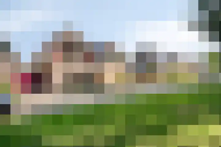 Gamander 24 Dronten thumbnail 5