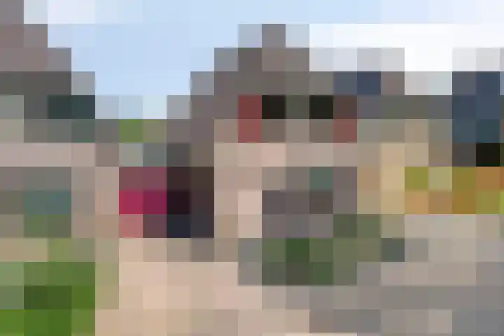 Gamander 24 Dronten thumbnail 6
