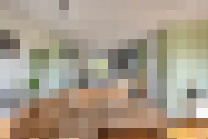 Gamander 38 Dronten thumbnail 11