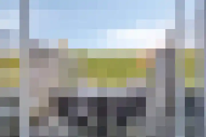 Gamander 38 Dronten thumbnail 16