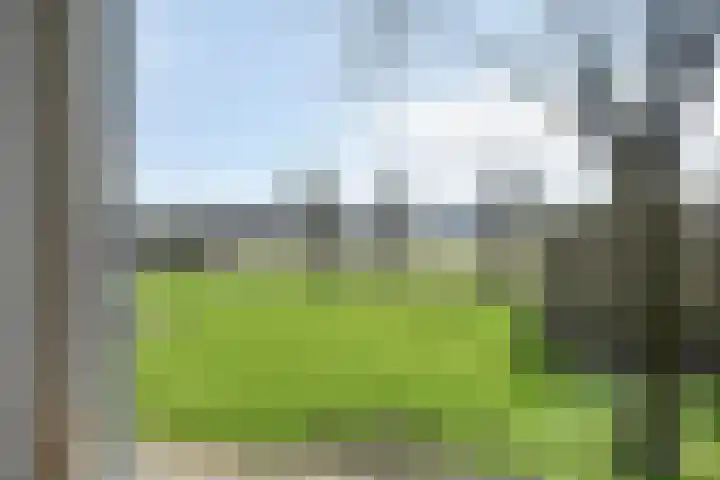 Gamander 38 Dronten thumbnail 26