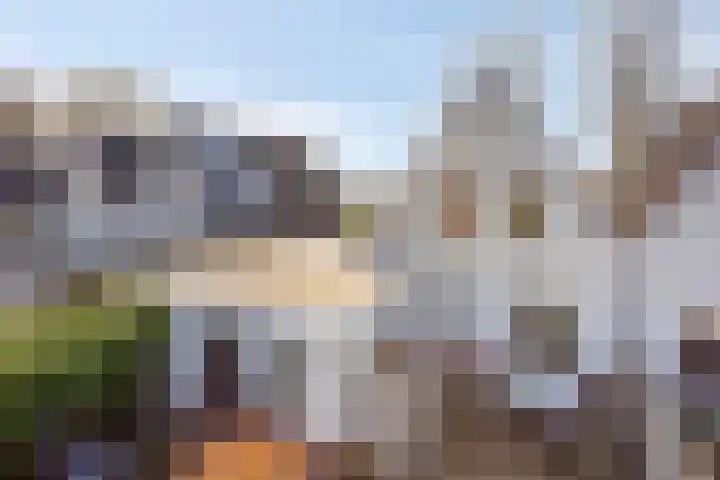 Gamander 38 Dronten thumbnail 38