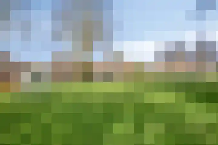 Gamander 38 Dronten thumbnail 42
