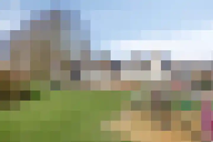 Gamander 38 Dronten thumbnail 44